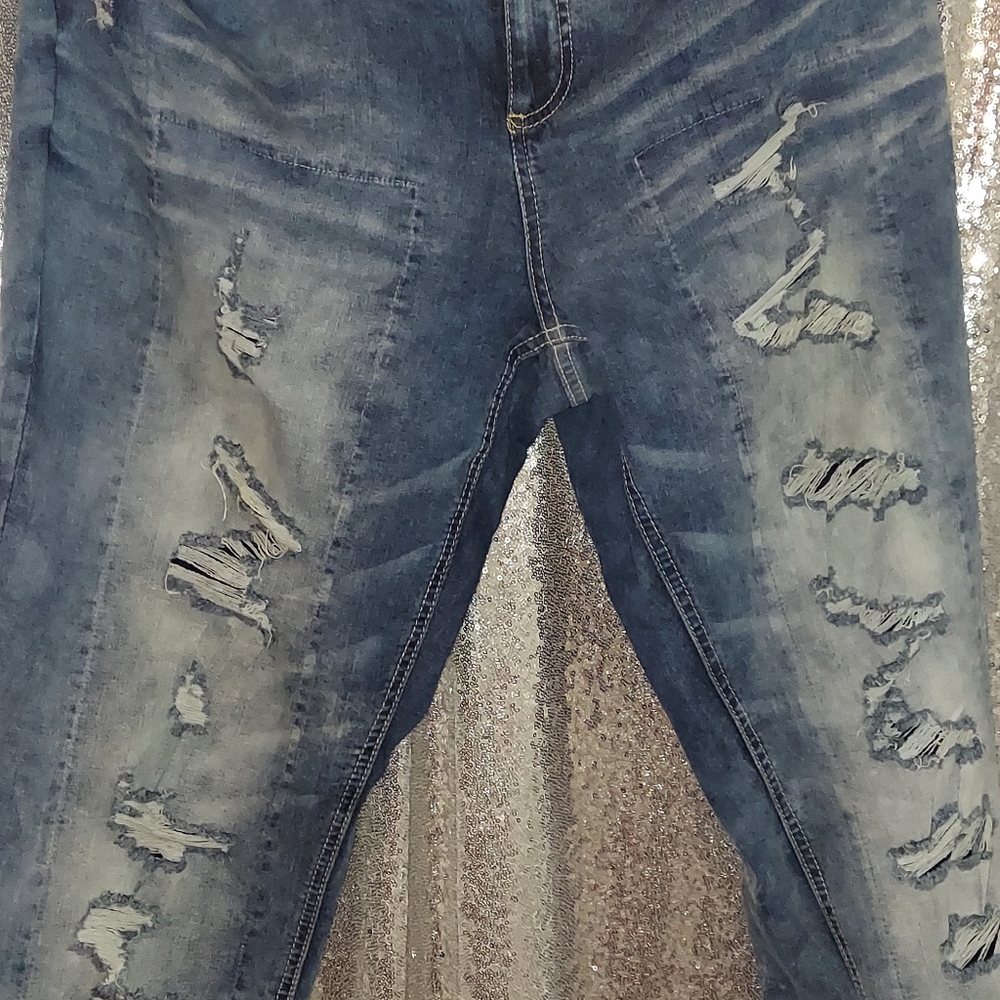 Plus Sized Women's Distressed Jeans